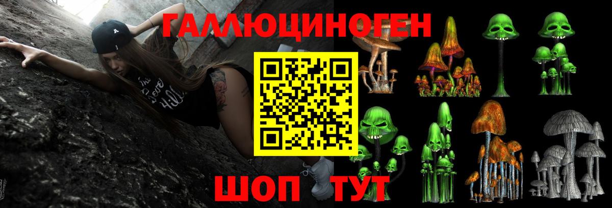 Галлюциногенные грибы Psilocybine cubensis  Вход с VPN  Нальчик 