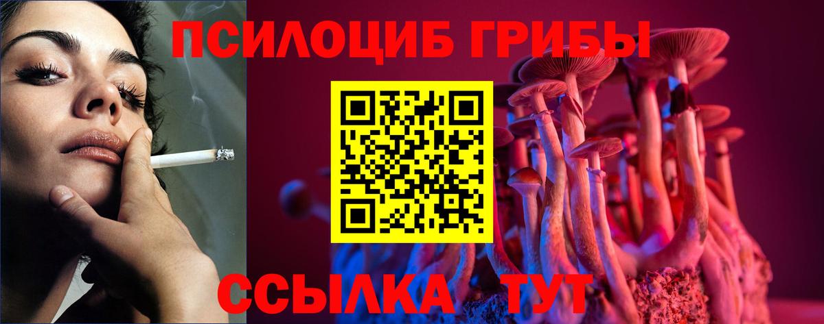 Псилоцибиновые грибы мицелий Нальчик